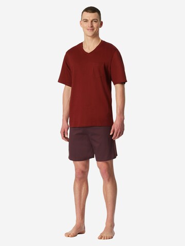 SCHIESSER Pajamas long 'Comfort Essentials' in Red: front