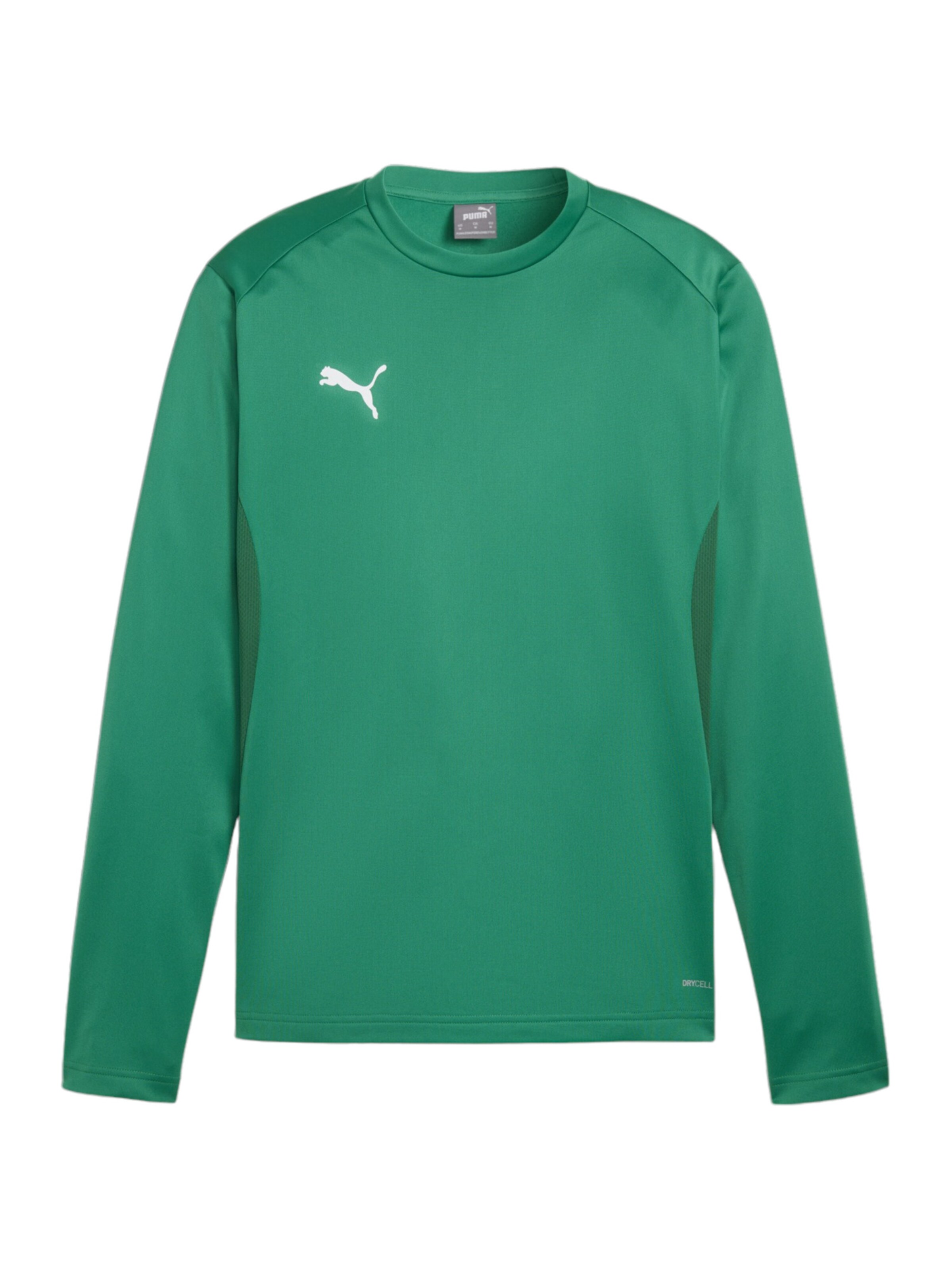 PUMA Sportsweatshirt 'teamGOAL' in Grün: Vorderseite