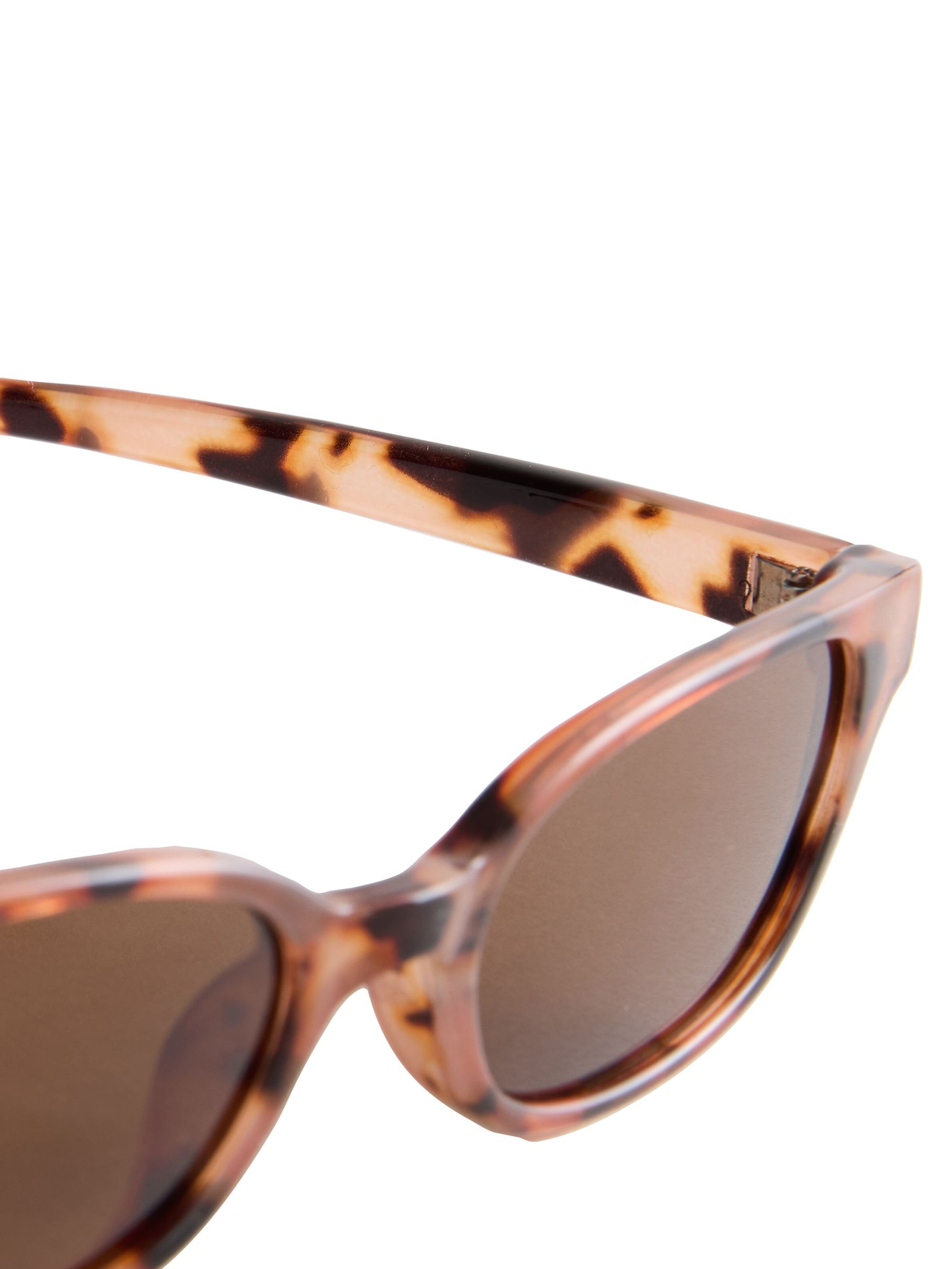 Next - Óculos de sol em castanho