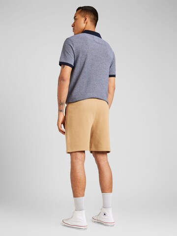 HOLLISTER Regular Pants in Brown