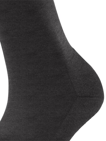 FALKE Socken 'ClimaWool'‌‌‌‌‌‌‌‌‌‌ in Grau