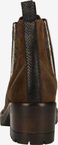 LAZAMANI Chelsea Boots in Brown