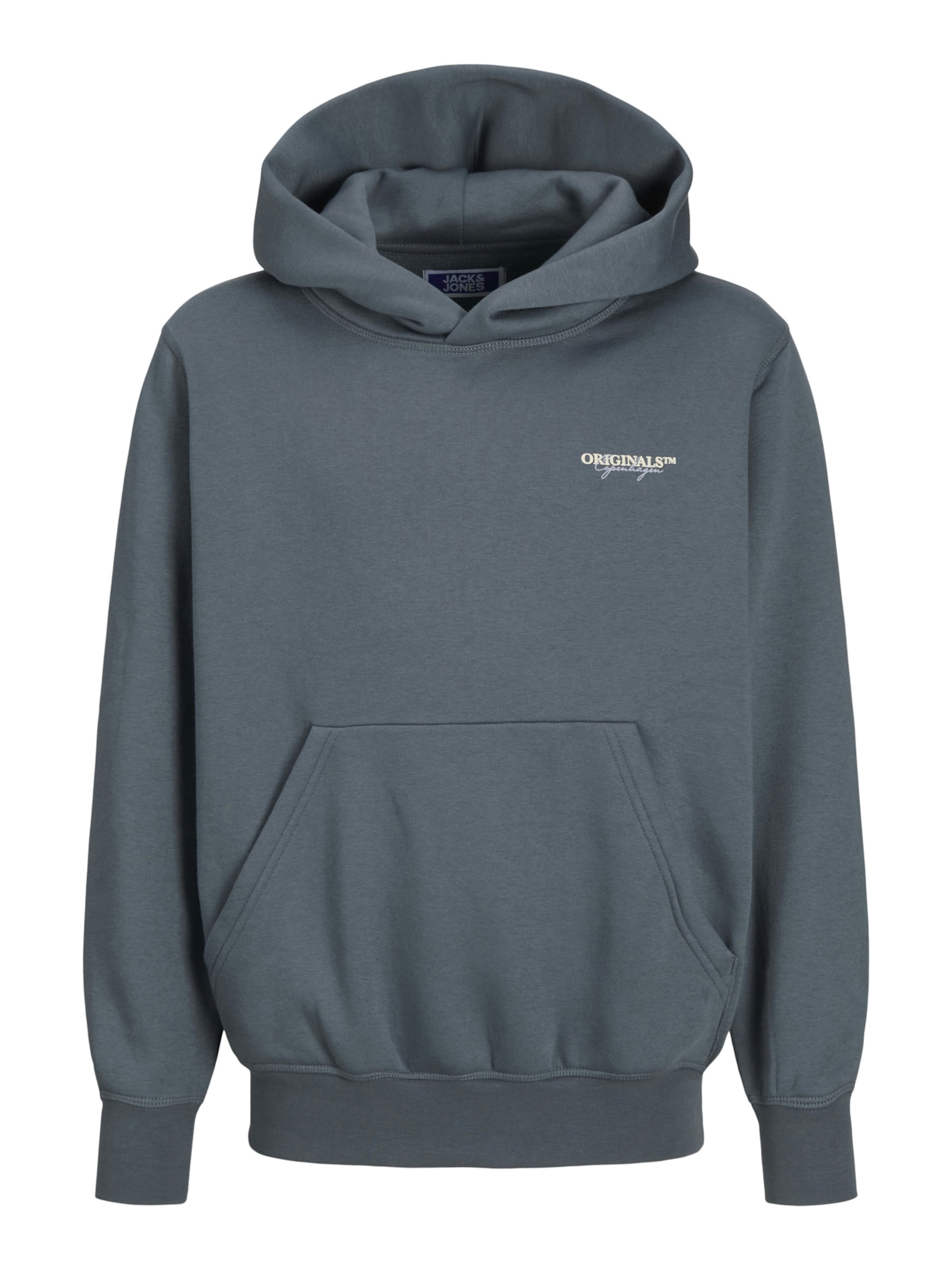 Felpa 'JORIslington' di Jack & Jones Junior in grigio: frontale