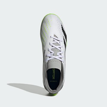 Chaussure de foot 'Predator Accuracy 3' ADIDAS PERFORMANCE en blanc