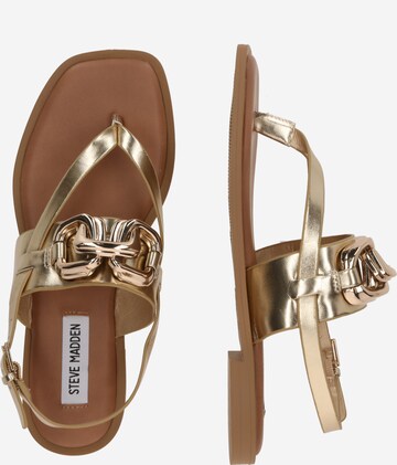 Infradito 'GENIE' di STEVE MADDEN in oro