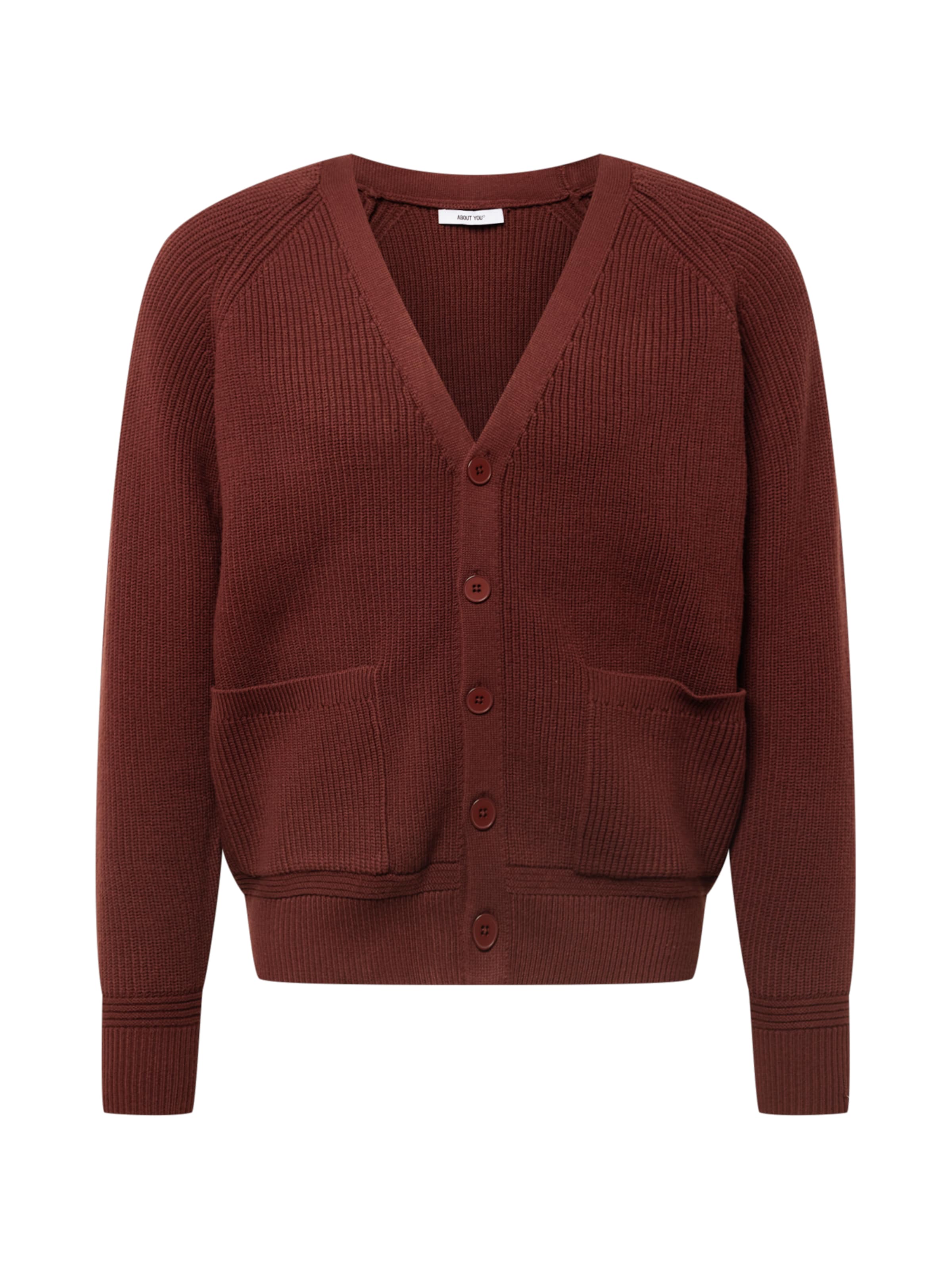 Vestes en maille 'Andre' ABOUT YOU en marron : devant
