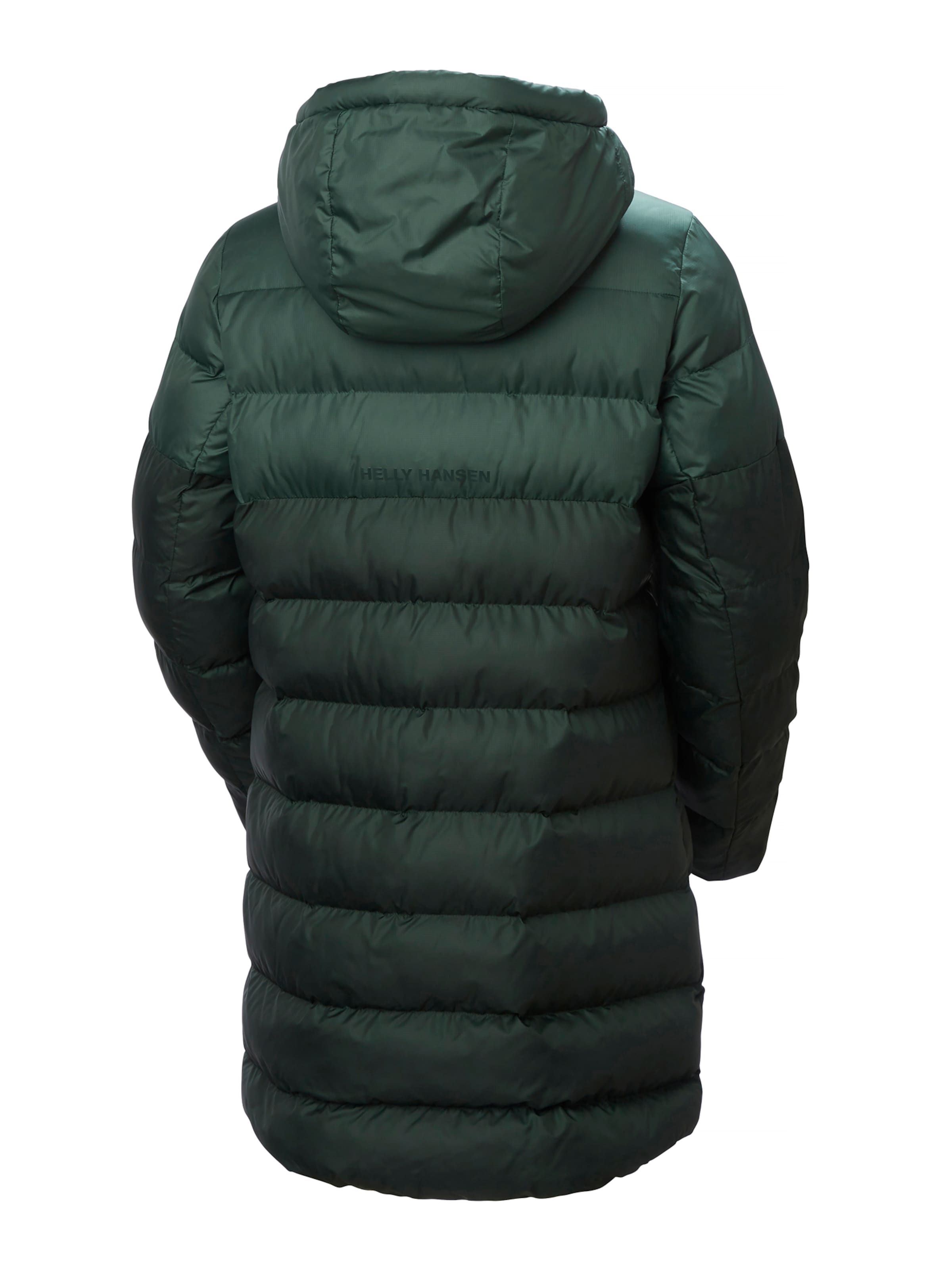 HELLY HANSEN Зимняя куртка в Зеленый