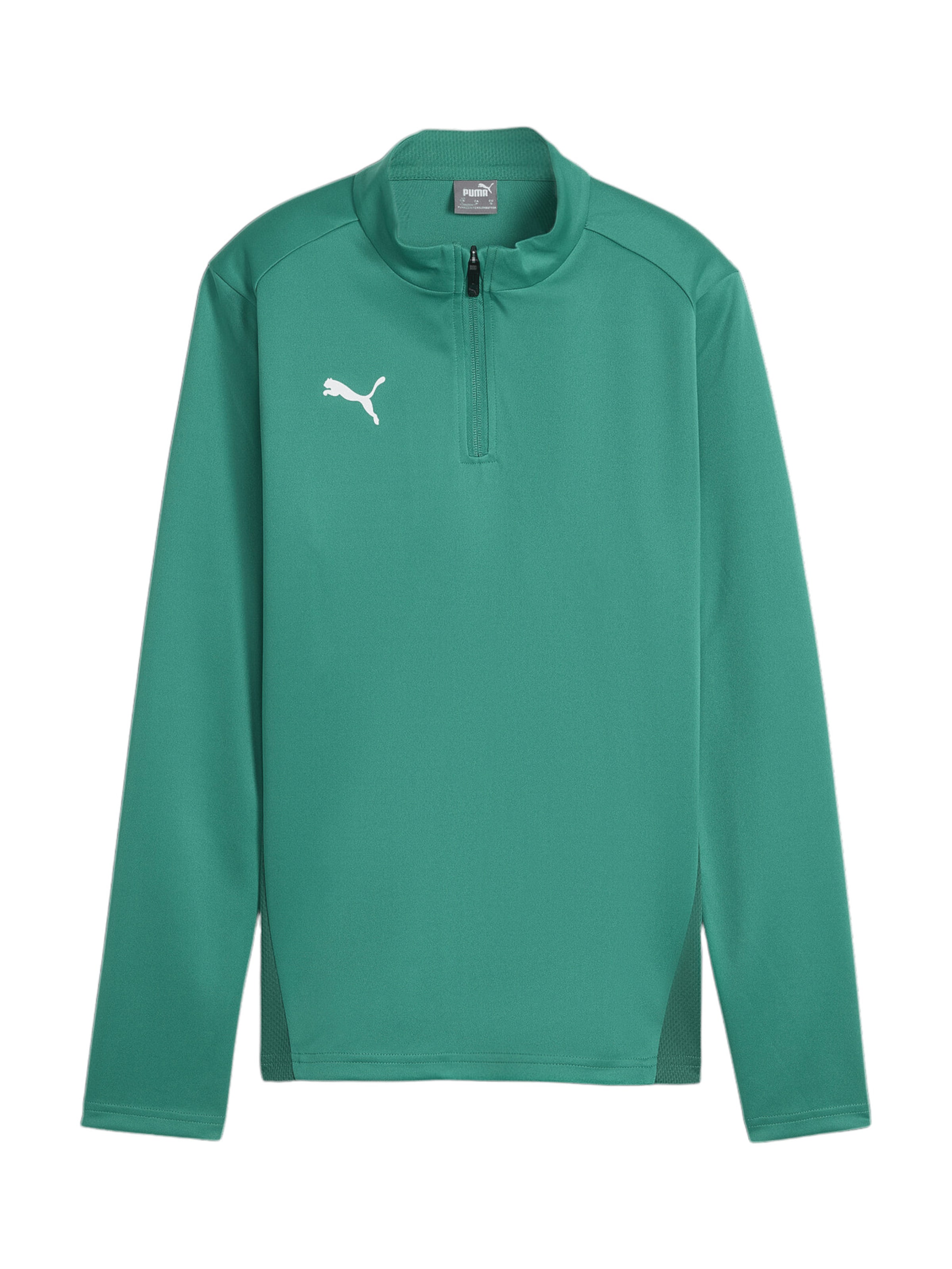 PUMA Funktionsshirt 'TeamGoal' in Grün: Vorderseite