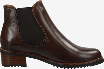 Everybody Chelsea boots in Bruin