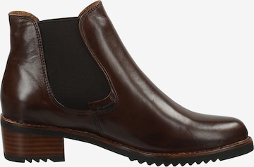 Chelsea Boots Everybody en marron