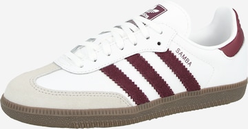 ADIDAS ORIGINALS Σνίκερ 'SAMBA' σε λευκό: μπροστά