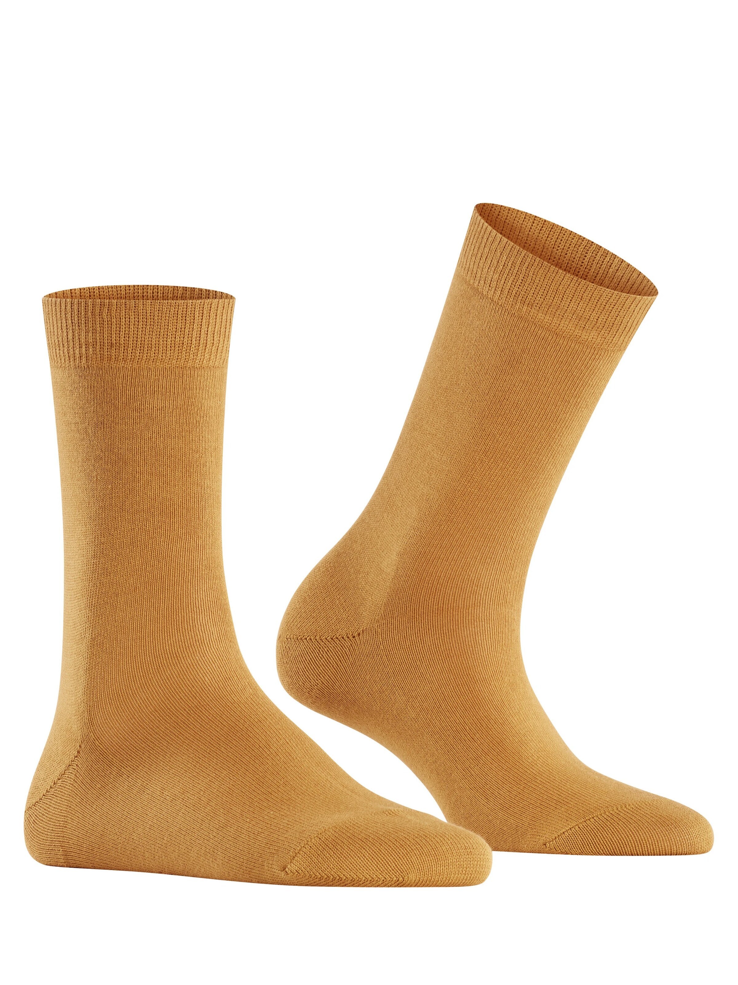 FALKE Socks 'Family' in Brown