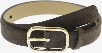 ABRO Belt in One size in Brown: front