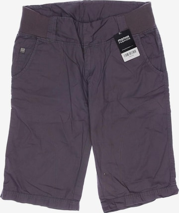 BENCH Shorts in L in Grey: front