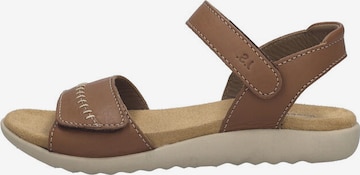 JOSEF SEIBEL Sandal 'JULIET 03' in Brown: front