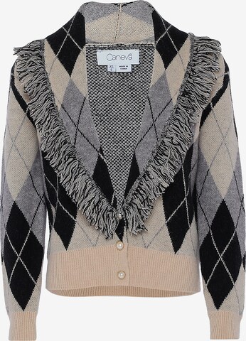 caneva Knit Cardigan in Beige: front