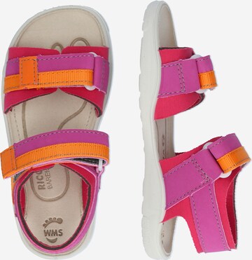 RICOSTA Sandals & Slippers 'SYDNEY' in Pink