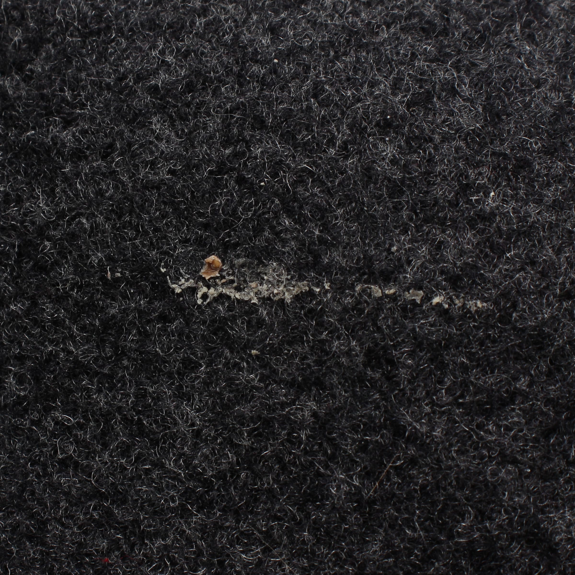 ISABEL MARANT Blazer XS in Grau