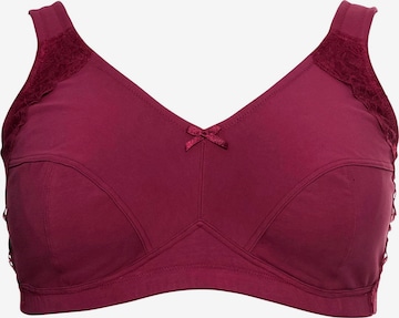 SHEEGO Bra in Pink: front