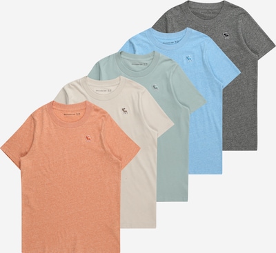 Abercrombie & Fitch Skjorte i beige / lyseblå / mørkegrå / mint / korall, Produktvisning