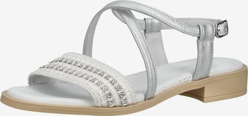 Nero Giardini Sandalen met riem in Zilver: voorkant