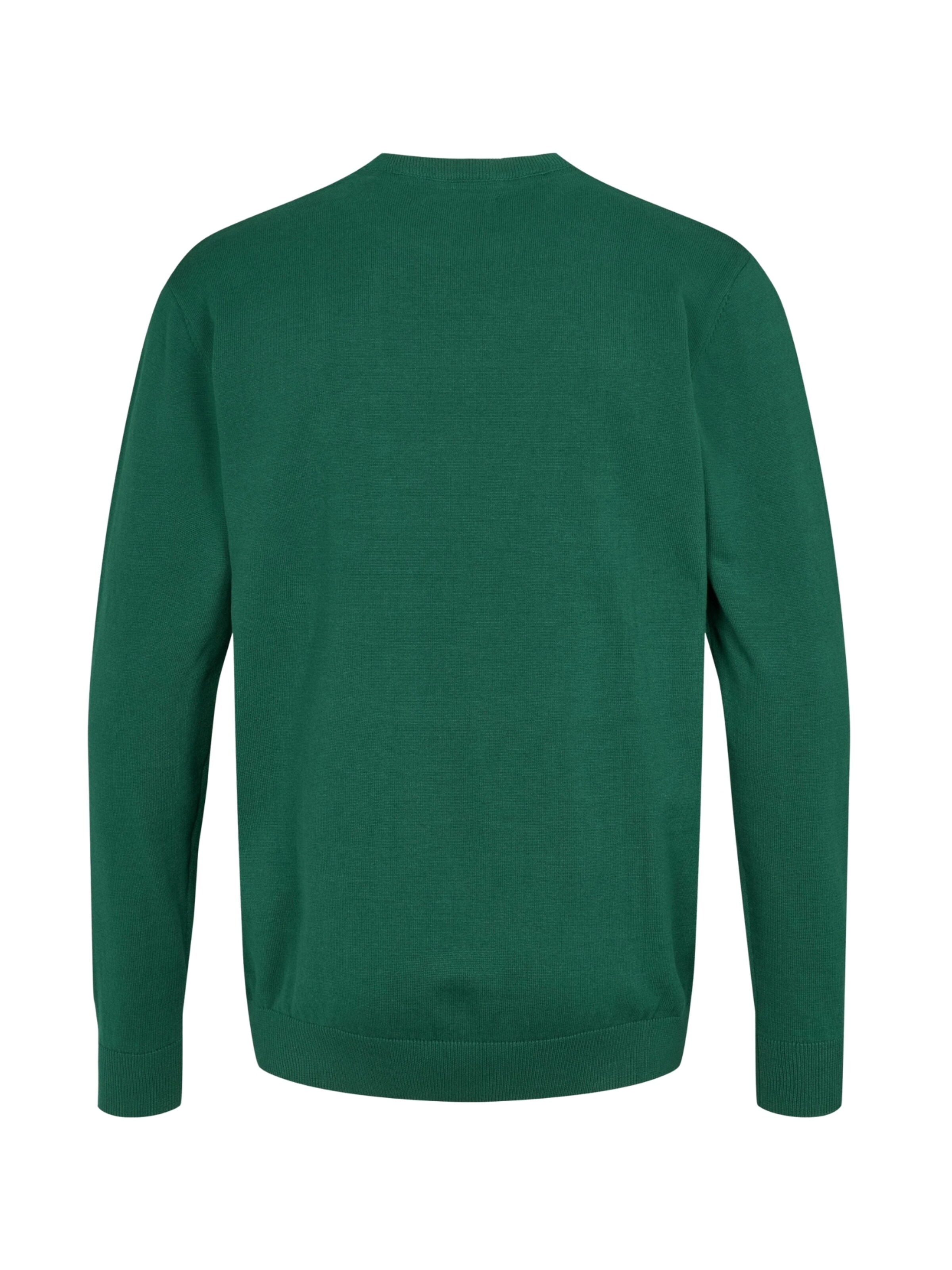 U.S. POLO ASSN. Pullover 'Adair' i grøn
