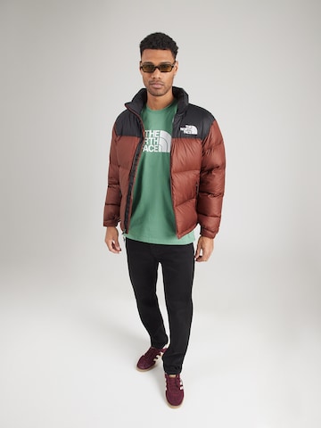 THE NORTH FACE Póló 'EVOLUTION HALF DOME' - zöld