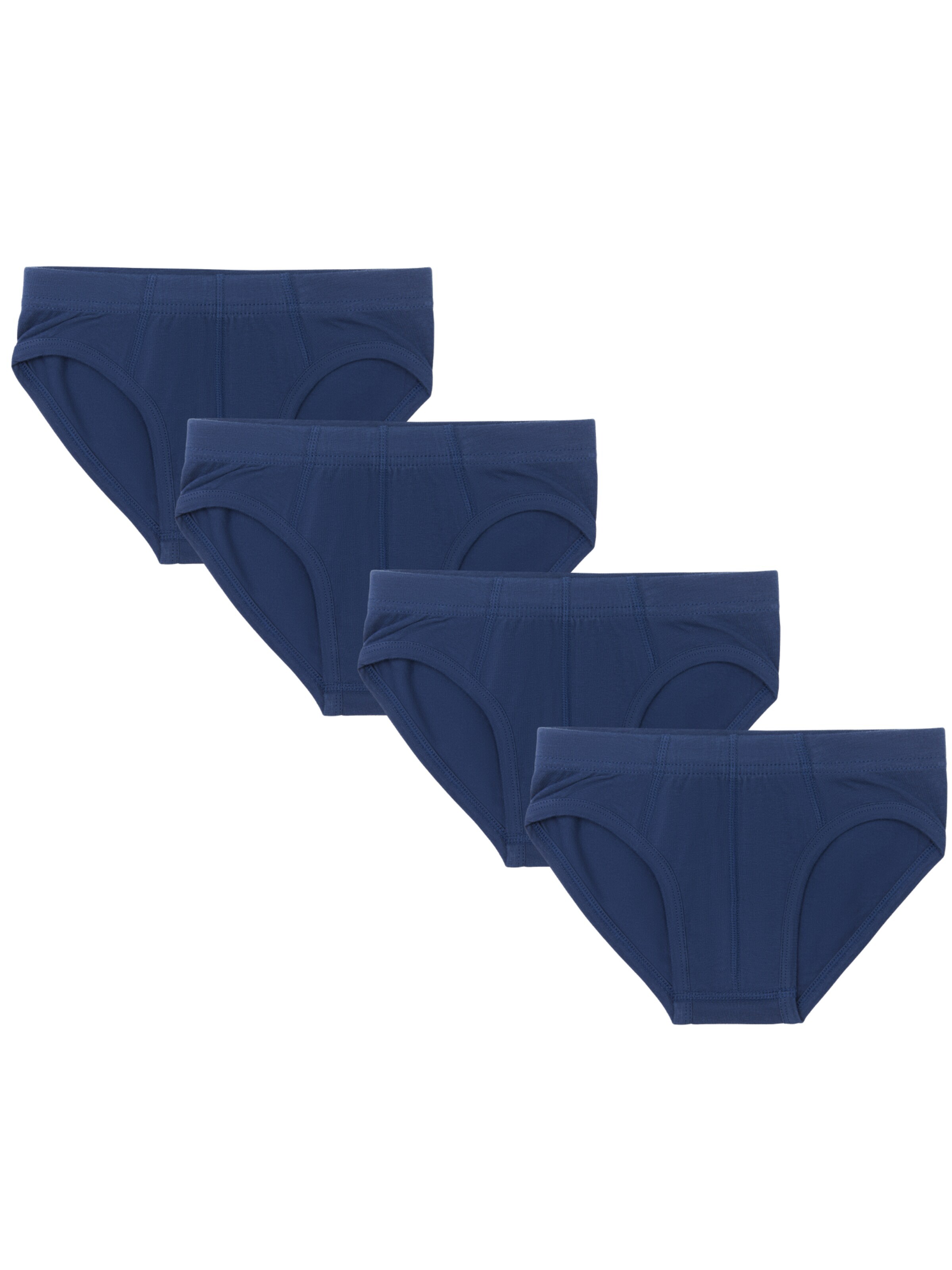 Albero Natur Underpants 'Bio-Baumwoll-Jungenslip-4er Pack' in Blue: front