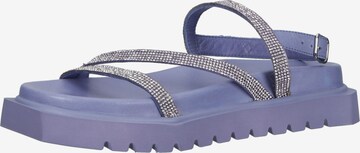 INUOVO Sandals in Purple: front