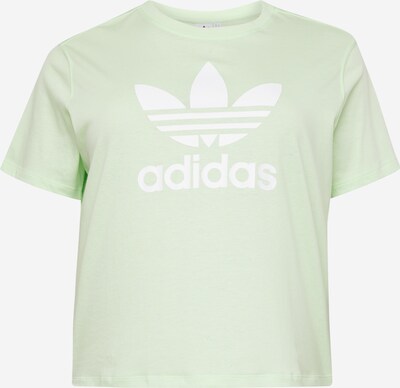 ADIDAS ORIGINALS Shirts 'Trefoil' i pastelgrøn / hvid, Produktvisning