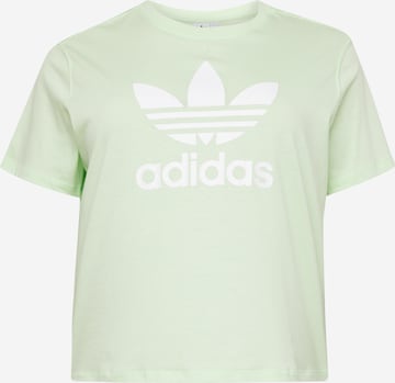 ADIDAS ORIGINALS - Camiseta 'Trefoil' en verde: frente