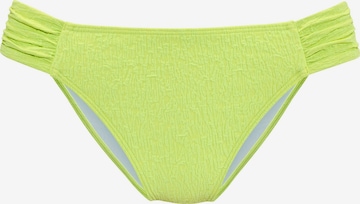 s.Oliver Bikini Bottoms in Green: front