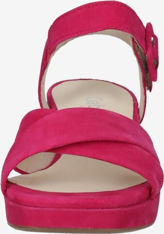 GABOR Sandalen met riem in Roze