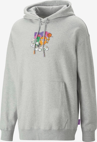 PUMA Sweatshirt in Grau: predná strana