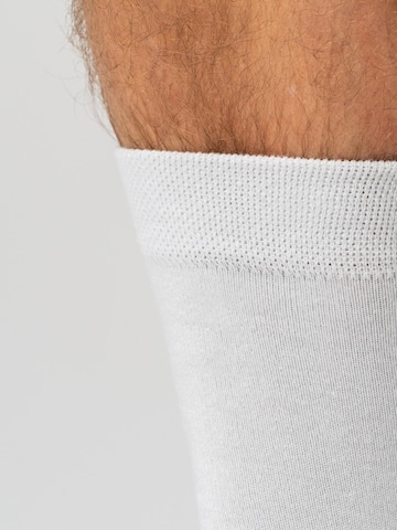 Copenhagen Bamboo Socks in White