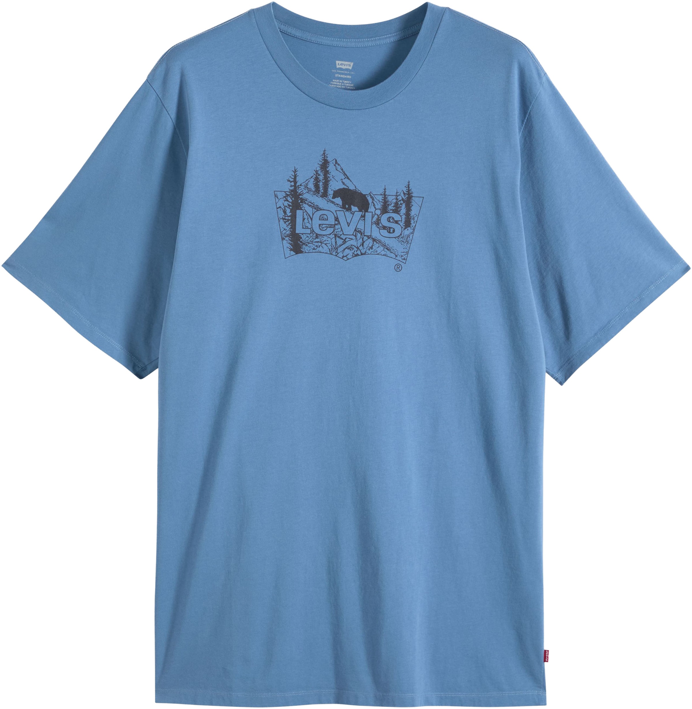 Levi's® Plus Shirt in Blue: front