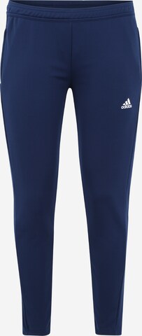 ADIDAS SPORTSWEAR Sportbroek 'Team 19' in Blauw: voorkant