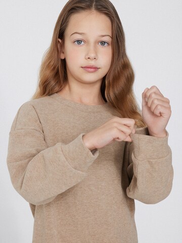 Tezenis Sweatshirt in Brown