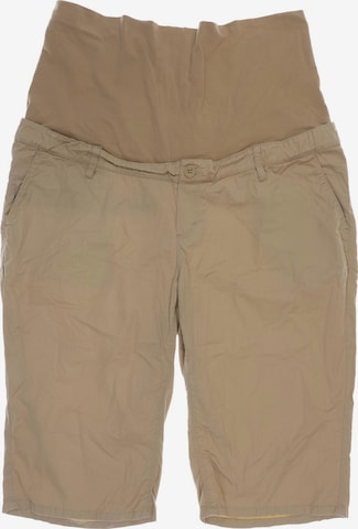 ESPRIT Shorts XL in Beige: predná strana
