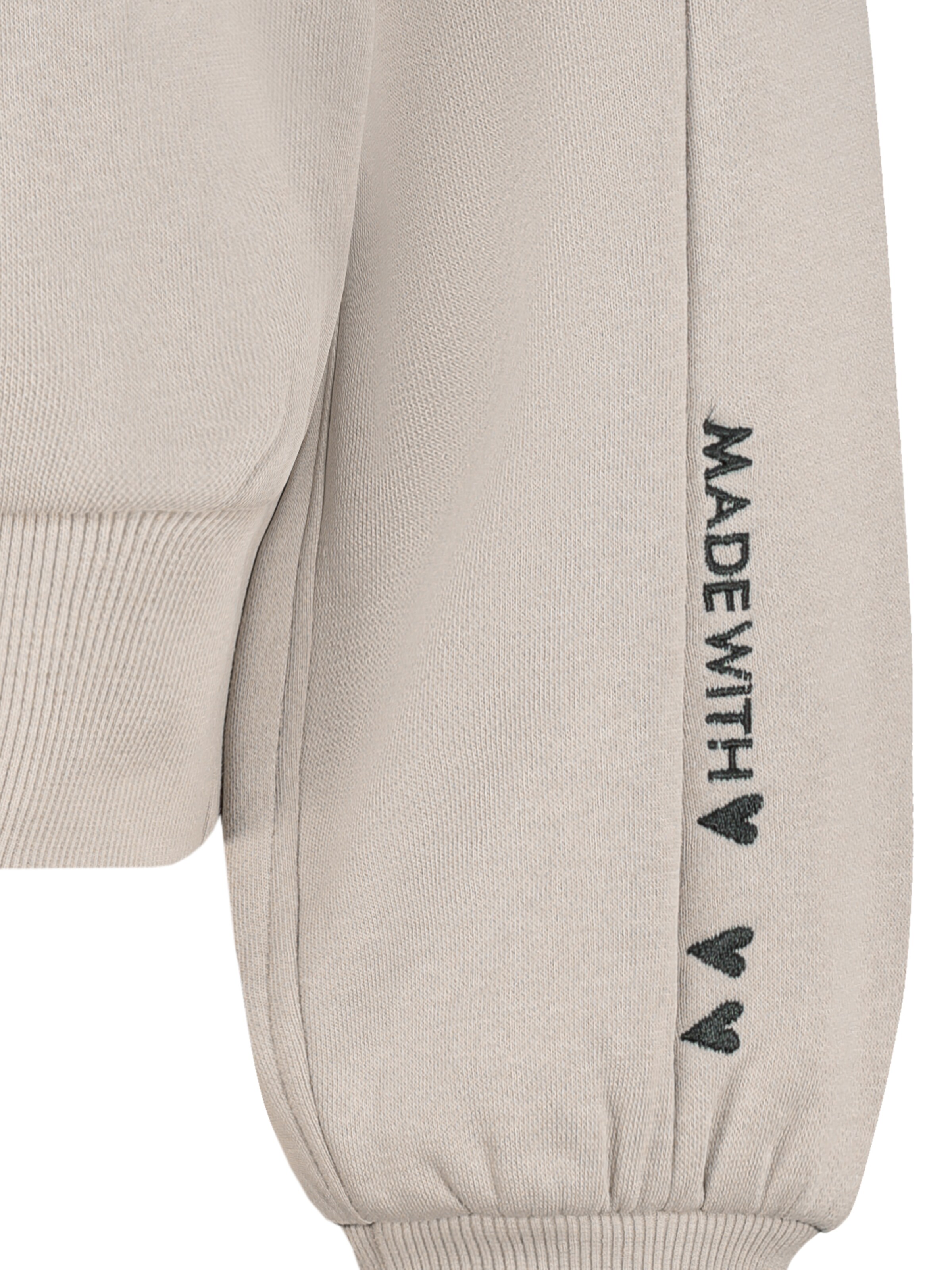 Sublevel Zip-Up Hoodie in Beige