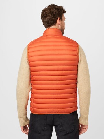 SAVE THE DUCK Vest 'Adam' in Orange