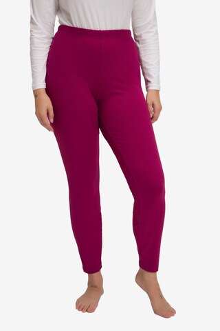 Ulla Popken Skinny Leggings in Pink: front