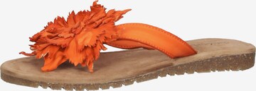 LAZAMANI T-Bar Sandals in Orange: front