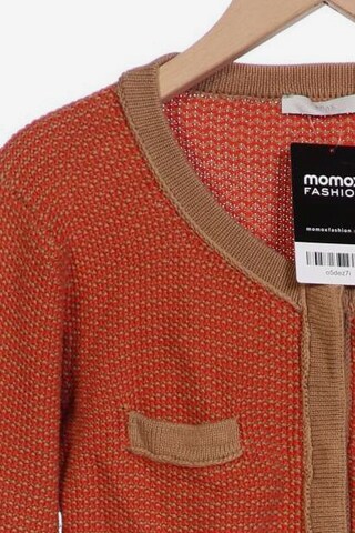 BRAX Sweater & Cardigan in S in Orange