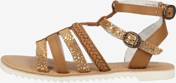 Kickers Sandalen in Braun