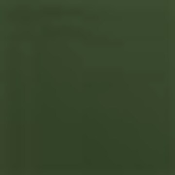 Slip bikini di Bruno Banani in verde