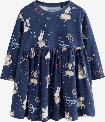 mėlyna Next Suknelė: priekis