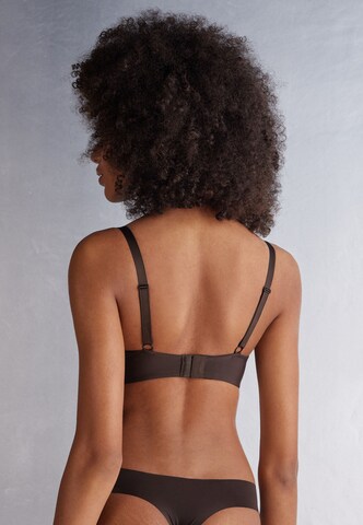 INTIMISSIMI Triangle Bra in Brown