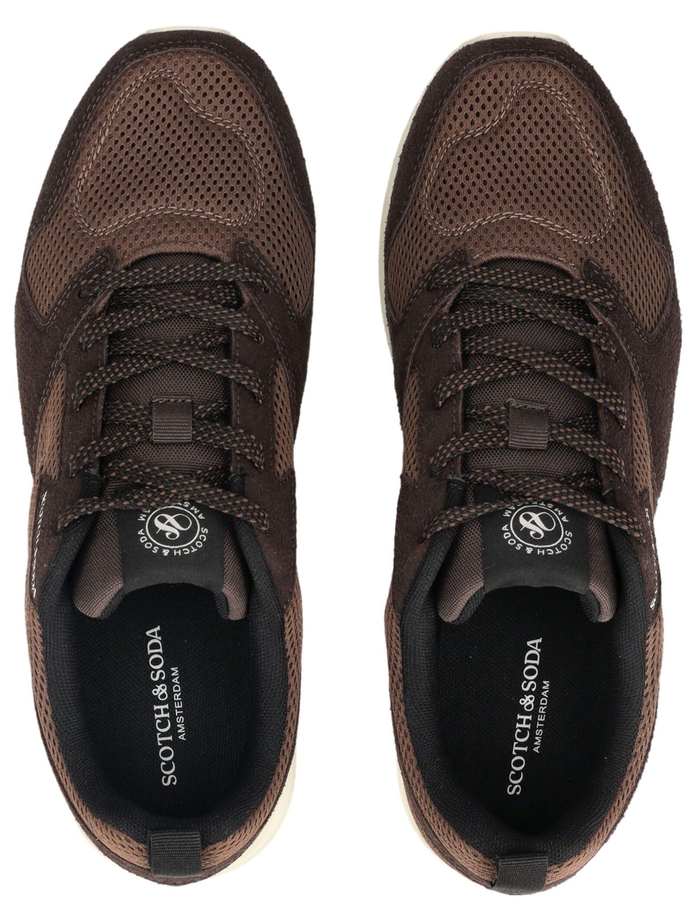 Sneaker bassa di SCOTCH & SODA in marrone