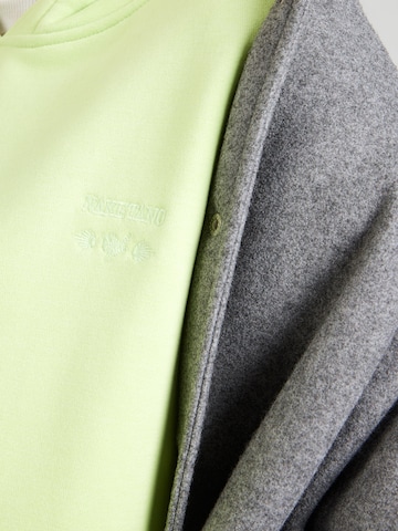 naketano Sweatshirt in Grün
